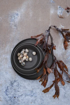 Rosendahl Grand Cru Take Bord Ø19,5 Cm 2-pack -Serax Winkel 510588 01 5 EnvironmentImage ecb6ec0940